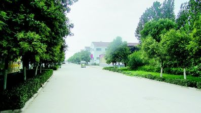 垃圾肥机生产生活有哪些_生活垃圾生产有机肥_垃圾肥机生产生活有污染吗