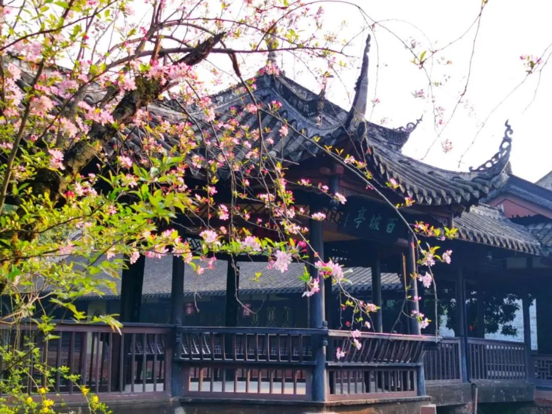 遇见旅行网_遇见豆瓣_遇见旅行 豆瓣
