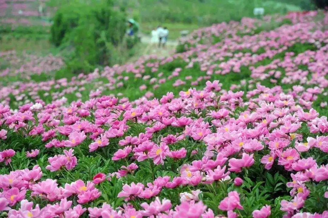 遇见旅行 豆瓣_遇见豆瓣_遇见旅行网