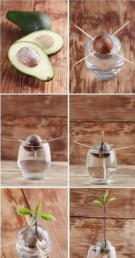 牛油果鲜虾意面_虾鲜果牛油意面好吃吗_虾仁牛油果意面