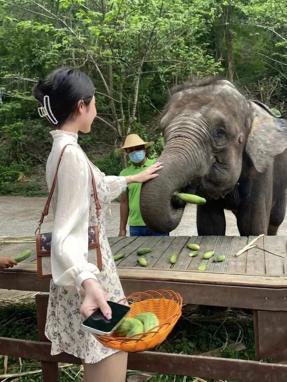 云南西双版纳旅游路线_云南西双版纳旅游路线推荐_云南西双版纳自由行攻略