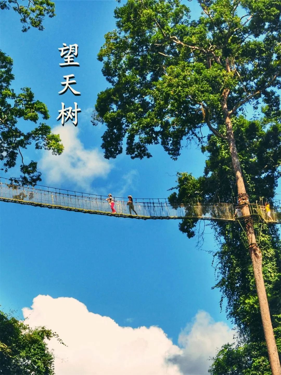 云南西双版纳旅游路线推荐_云南西双版纳自由行攻略_云南西双版纳旅游路线