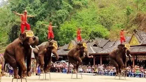 云南西双版纳旅游路线_云南西双版纳旅游路线推荐_云南西双版纳自由行攻略