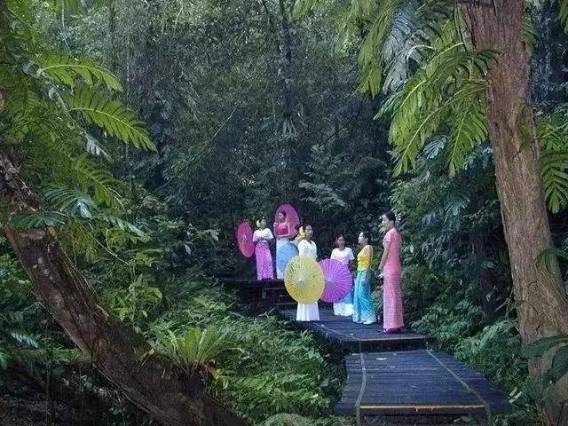 云南西双版纳旅游路线推荐_云南西双版纳自由行攻略_云南西双版纳旅游路线