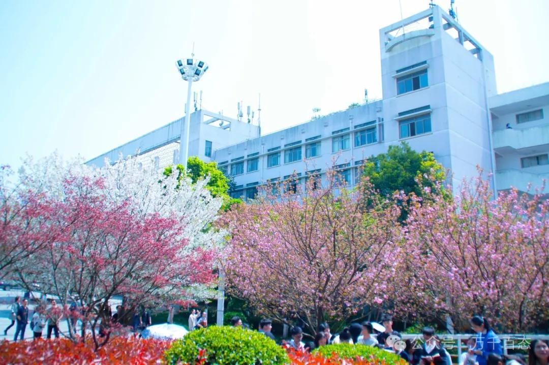 湖南中南科技大学简介_中南科技大学_中南科技大学是985吗