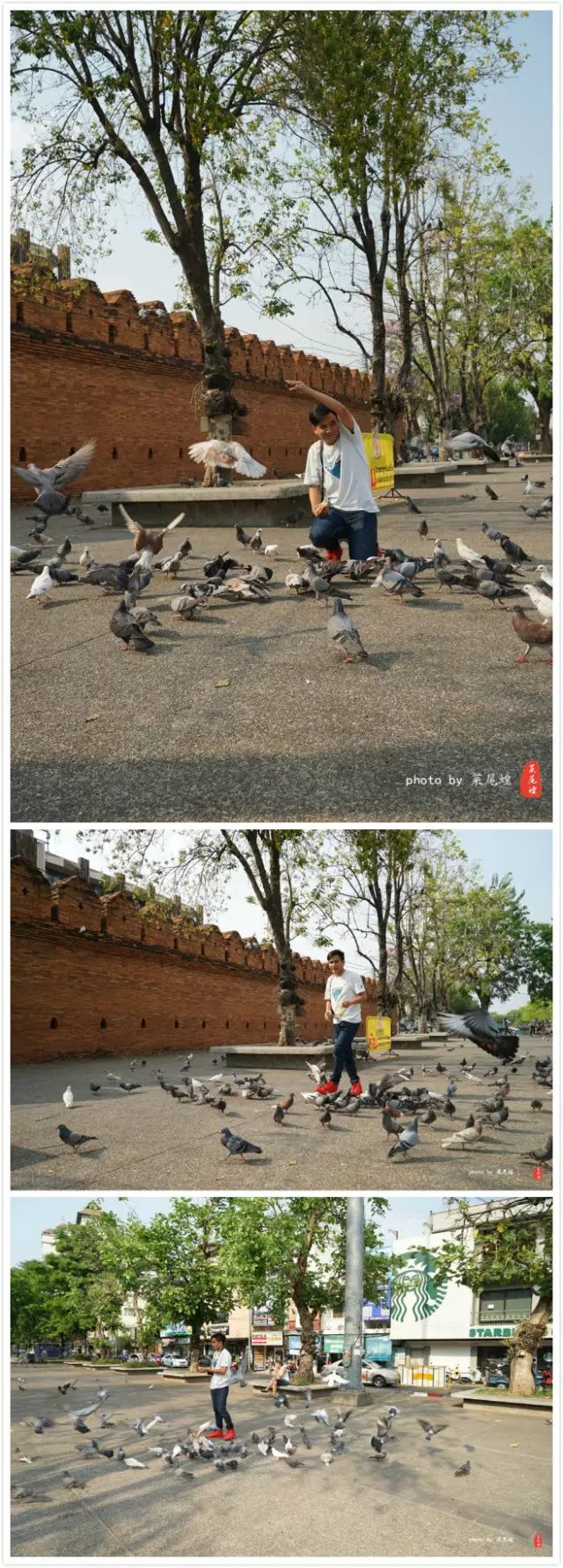 清迈游玩_清迈旅游必去景区_去清迈旅游自由行攻略