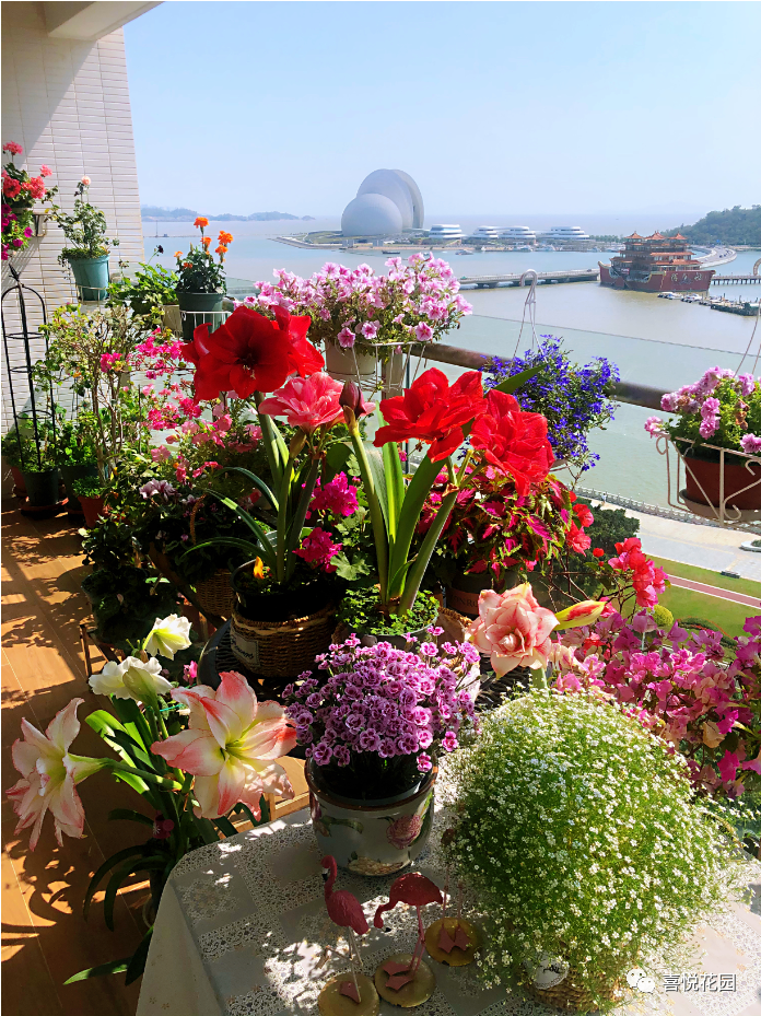 阳光浴一般晒多久_在阳台上能晒日光浴吗_阳台沐浴阳光