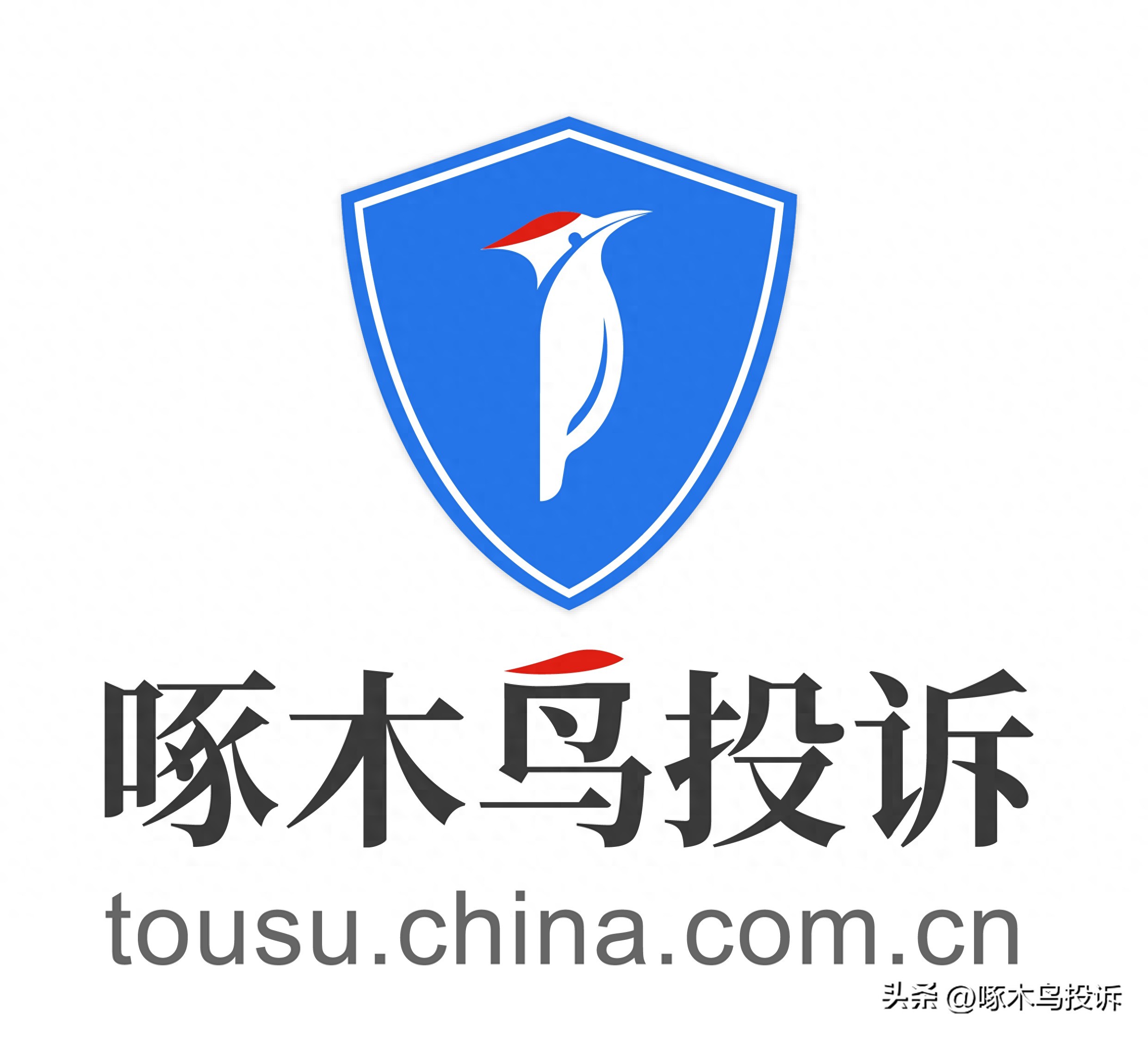 骗局老人免费旅游怎么办_老人免费旅游骗局_骗局老人免费旅游是真的吗