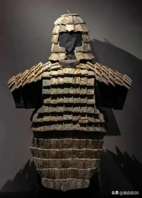 游陕西自然博物馆作文_陕西博物馆一日游_陕西自然博物馆游玩攻略