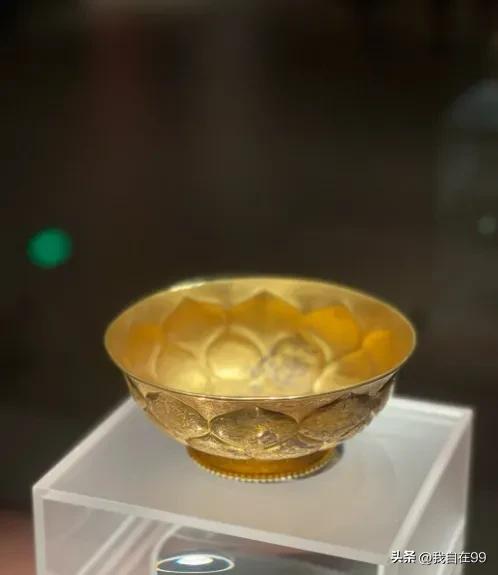 陕西博物馆一日游_陕西自然博物馆游玩攻略_游陕西自然博物馆作文