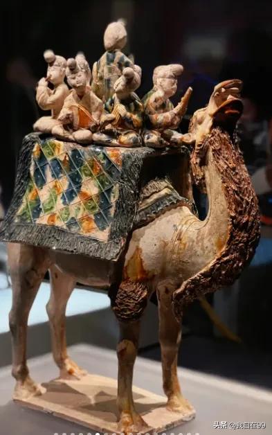 游陕西自然博物馆作文_陕西博物馆一日游_陕西自然博物馆游玩攻略