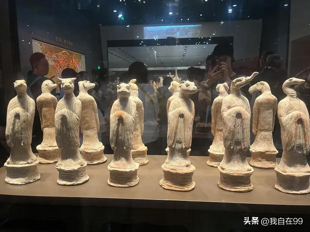 陕西自然博物馆游玩攻略_游陕西自然博物馆作文_陕西博物馆一日游