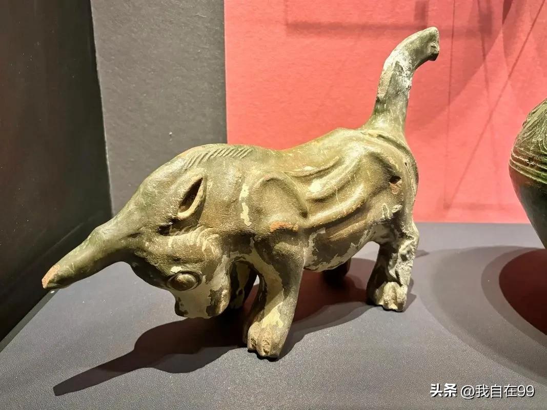 陕西自然博物馆游玩攻略_游陕西自然博物馆作文_陕西博物馆一日游