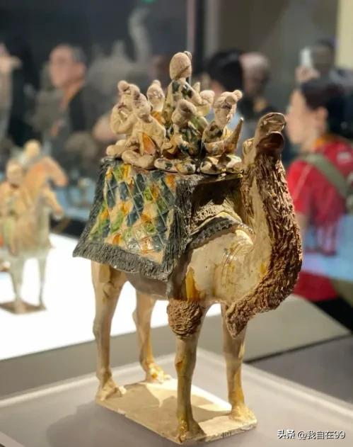 陕西自然博物馆游玩攻略_游陕西自然博物馆作文_陕西博物馆一日游