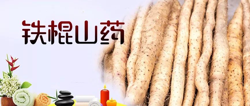 山药菜_菜山药的功效与作用_山药菜的功效