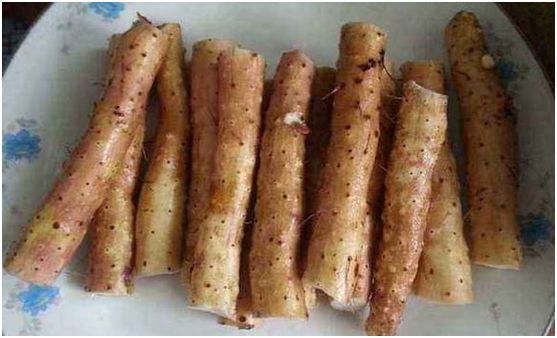 菜山药的功效与作用_山药菜的功效_山药菜