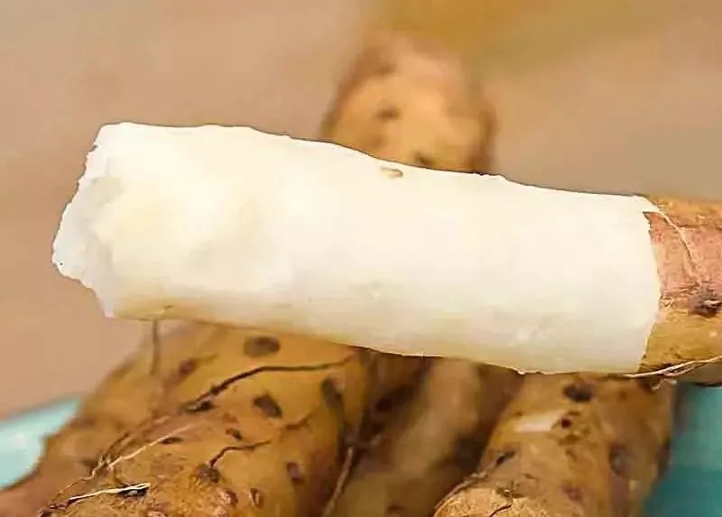 山药菜功效作用与主治_山药菜_菜山药的功效与作用