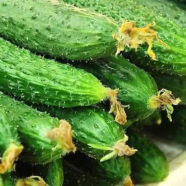 菜山药的功效与作用_山药菜_山药菜功效作用与禁忌