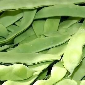山药菜功效作用与禁忌_菜山药的功效与作用_山药菜