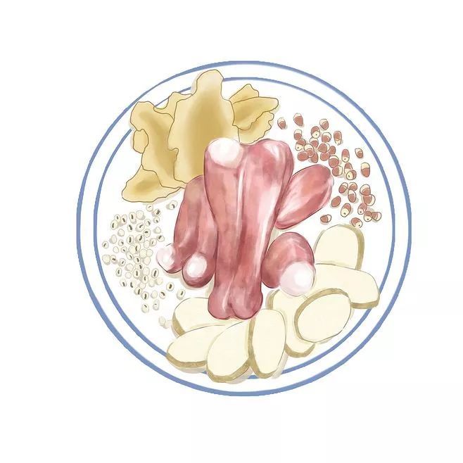 山药菜功效作用与禁忌_山药菜功效作用是什么_菜山药的功效与作用