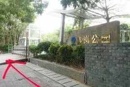 西丽湖南大碗菜_西丽湖南大碗菜_西丽湖南大碗菜