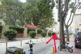 西丽湖南大碗菜_西丽湖南大碗菜_西丽湖南大碗菜