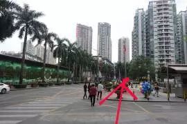 西丽湖南大碗菜_西丽湖南大碗菜_西丽湖南大碗菜