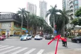 西丽湖南大碗菜_西丽湖南大碗菜_西丽湖南大碗菜