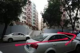 西丽湖南大碗菜_西丽湖南大碗菜_西丽湖南大碗菜