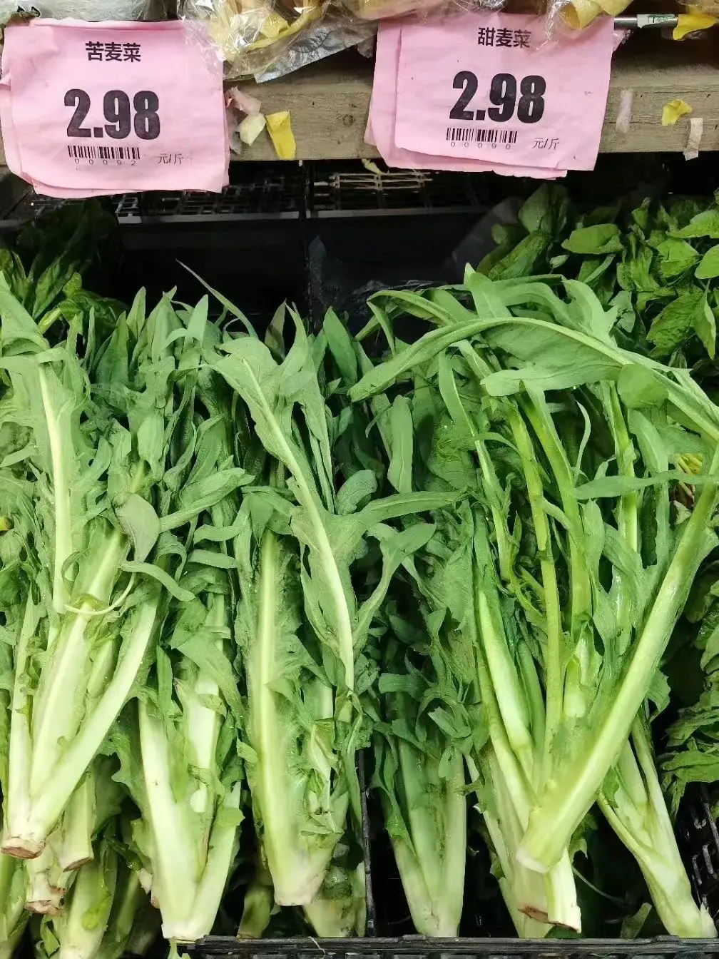 苦荬菜_苦荬菜种植技术_黄鹌菜和苦荬菜怎么分