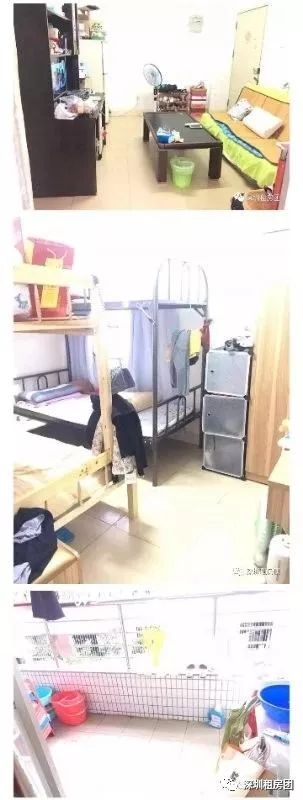 西丽湖南大碗菜_西丽湖南大碗菜_西丽湖南大碗菜