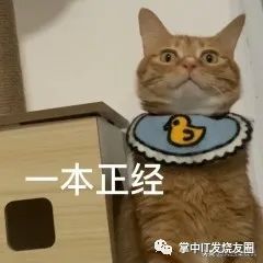 谷歌浏览器安装需要联网吗_谷歌浏览器安装下载_xp安装不了谷歌浏览器