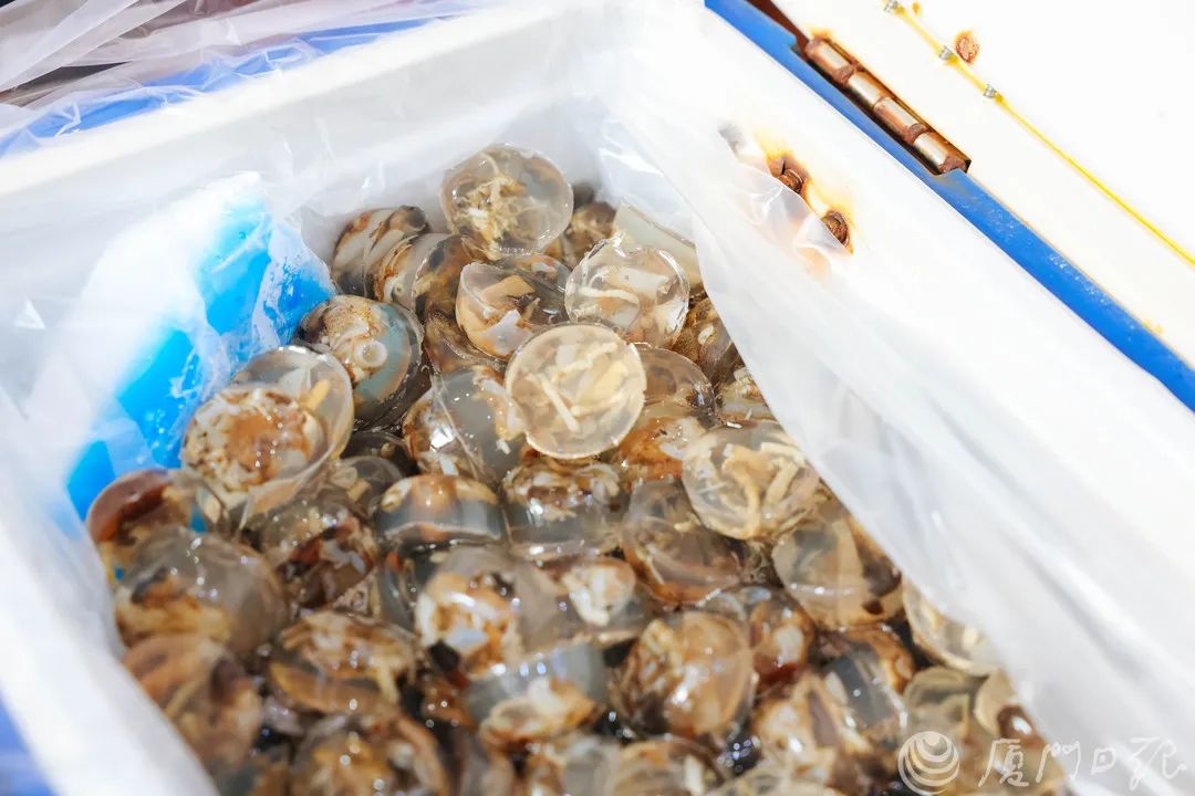 卤味成本价大概多少_做卤味生意摊成本多少_卤味店成本