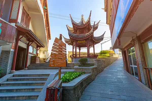 上海金山农业网_上海金山农业生态园_上海金山山阳农业基地