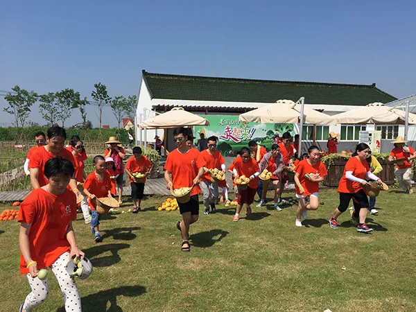 上海金山山阳农业基地_上海金山农业网_上海金山农业生态园