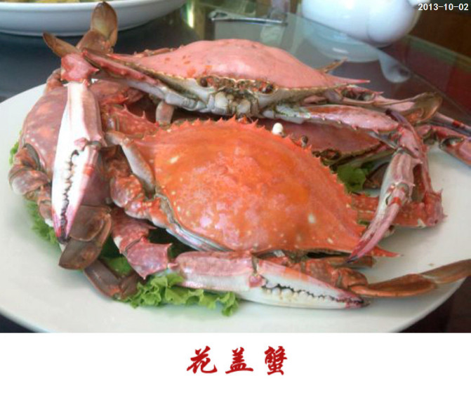 大长山岛——獐子岛六日游