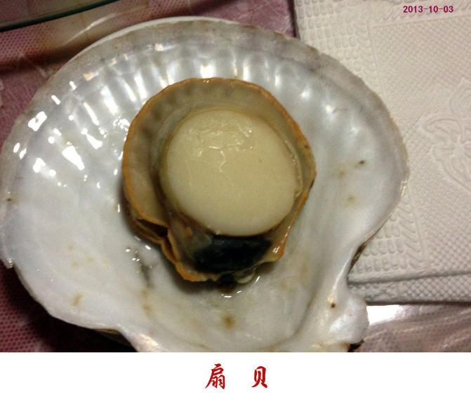 大长山岛——獐子岛六日游