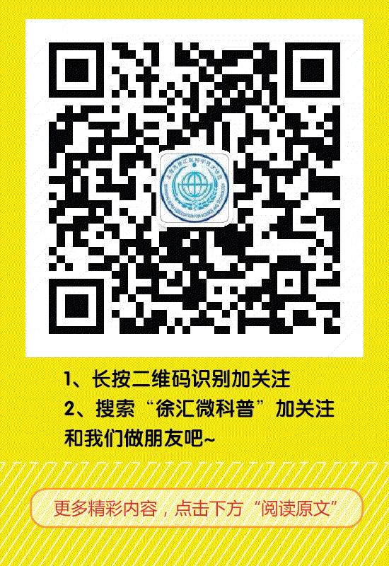 徐汇高新科技企业优惠政策_徐汇科技创新服务平台_徐汇区科普创新项目