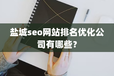盐城seo网站排名优化公司有哪些？