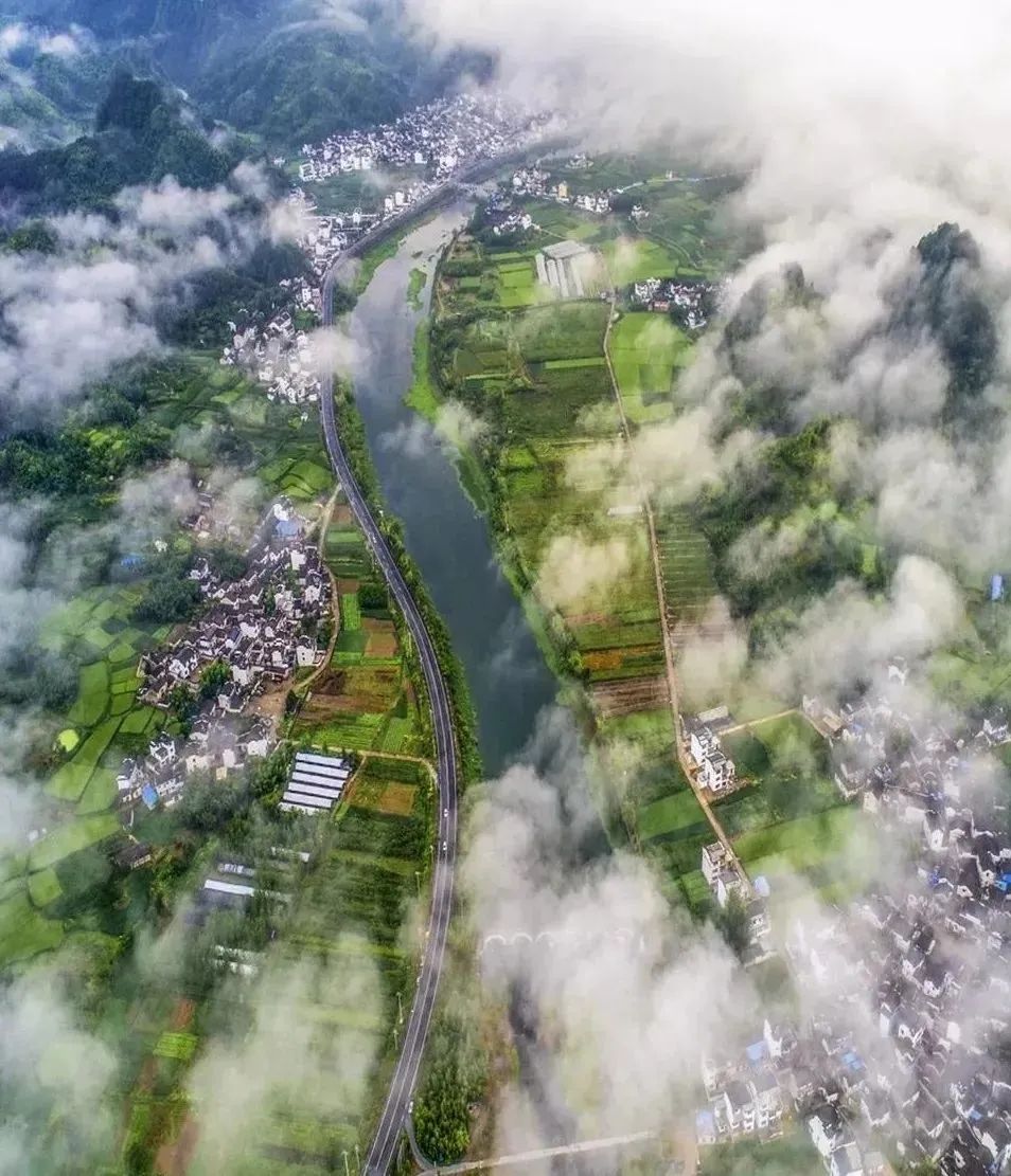绩溪徽菜博物馆老板是谁_绩溪徽菜美食文化节2024年_绩溪徽菜