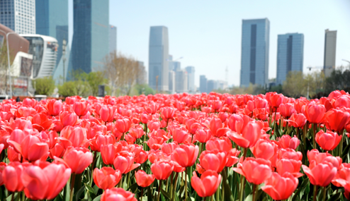 济南附近的城市旅游景点_济南景点附近旅游城市推荐_济南景点附近旅游城市有哪些