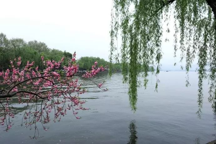 西湖线路旅游攻略_西湖游玩线路_西湖旅游线路