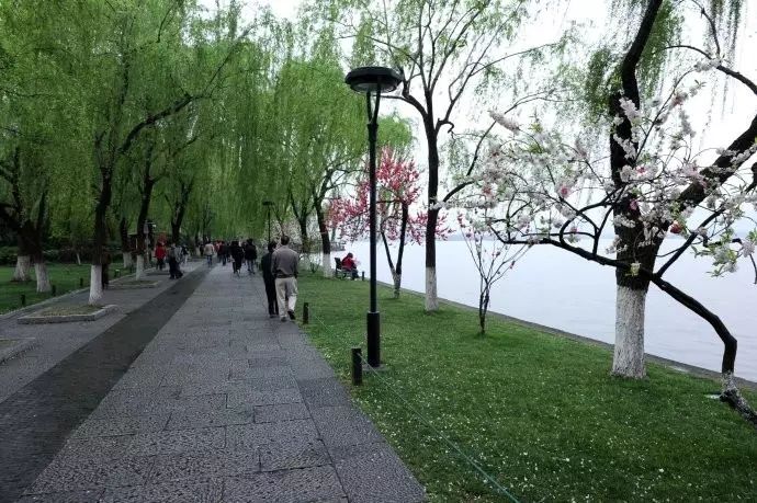 西湖线路旅游攻略_西湖游玩线路_西湖旅游线路