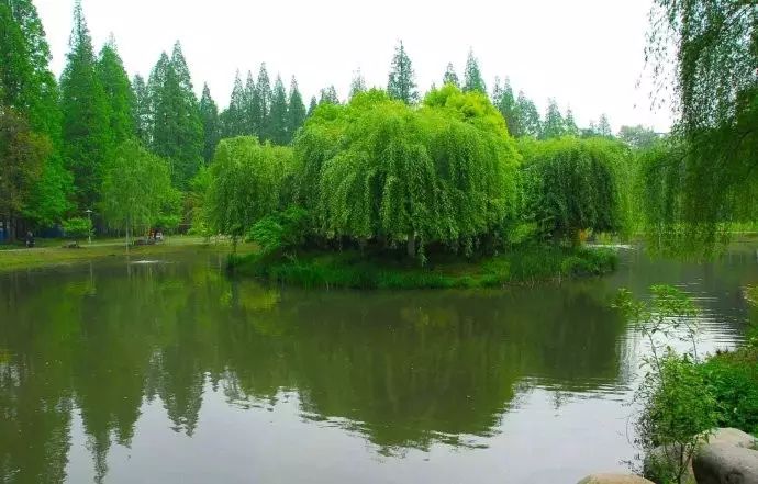 西湖线路旅游攻略_西湖旅游线路_西湖游玩线路