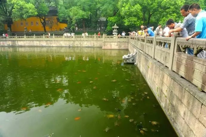 西湖游玩线路_西湖线路旅游攻略_西湖旅游线路