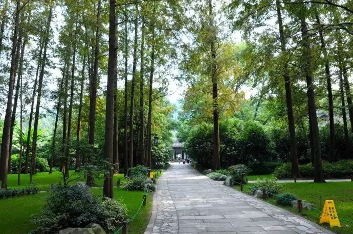 西湖线路旅游攻略_西湖游玩线路_西湖旅游线路