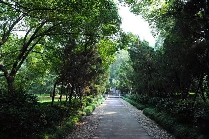 西湖游玩线路_西湖旅游线路_西湖线路旅游攻略