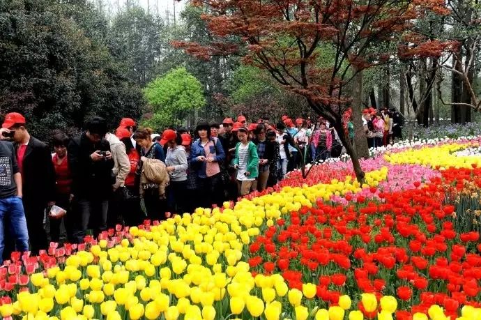 西湖旅游线路_西湖游玩线路_西湖线路旅游攻略
