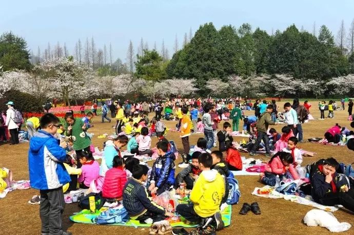 西湖游玩线路_西湖旅游线路_西湖线路旅游攻略