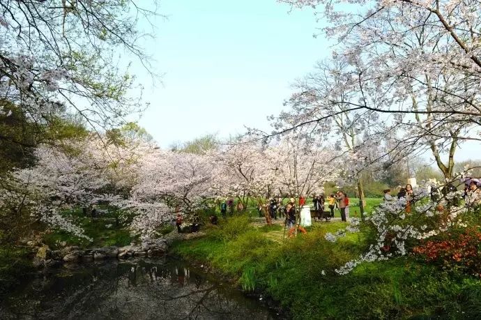 西湖线路旅游攻略_西湖旅游线路_西湖游玩线路